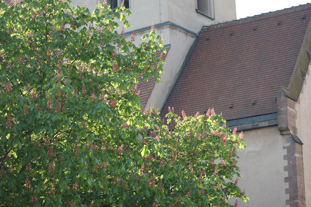 Quai 17 Maison D'Hotes Στρασβούργο Εξωτερικό φωτογραφία