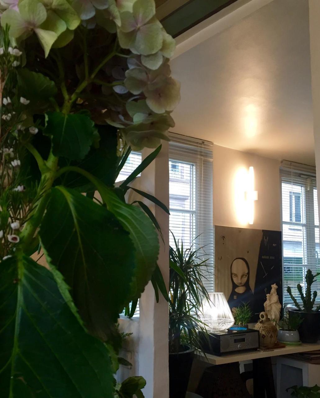Quai 17 Maison D'Hotes Στρασβούργο Εξωτερικό φωτογραφία